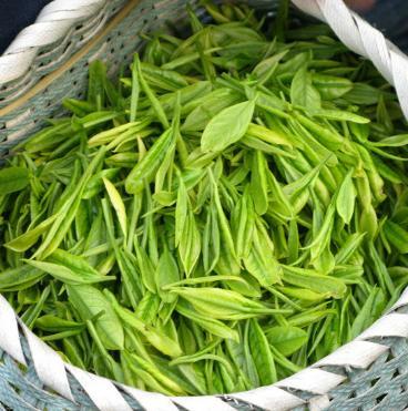 晋江市陈埭镇季香山宝茶叶店加盟